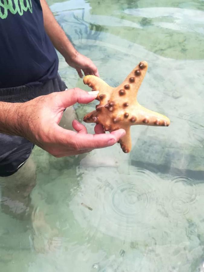 Sea Star Resort סמפורנה מראה חיצוני תמונה